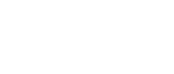 Logo CIVIC