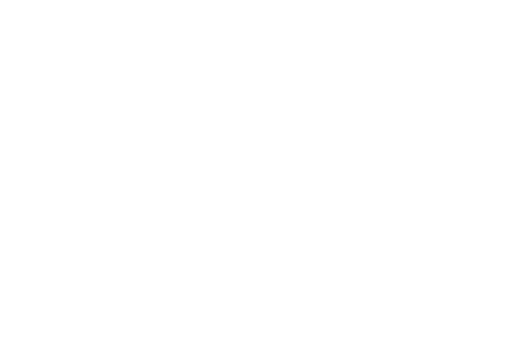 Logo Netvlies