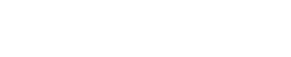Logo die zeitspringer