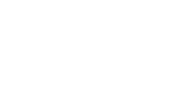 Logo Clever Strategy