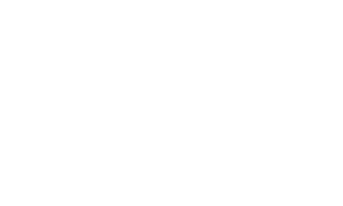 Logo Vertica