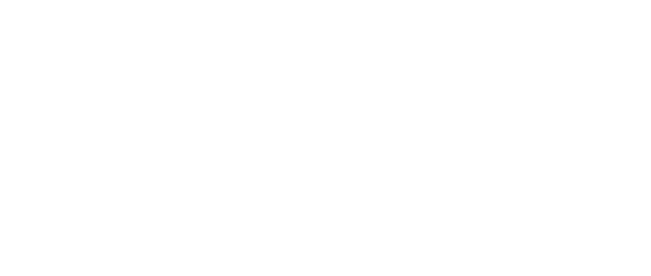 Logo VASS