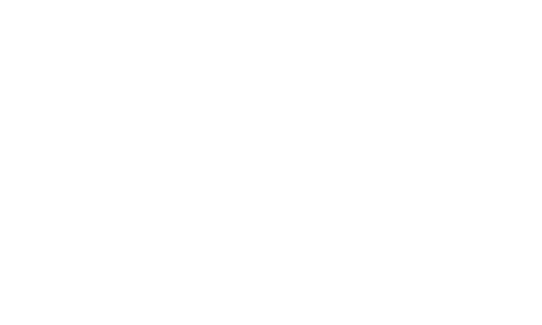 Logo Nova Consulting Group