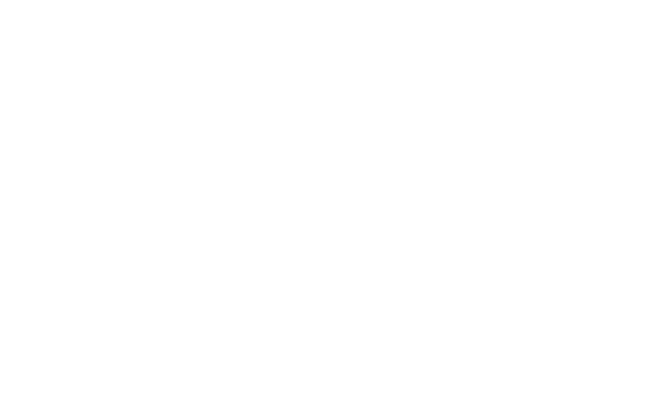 Logo Segmento