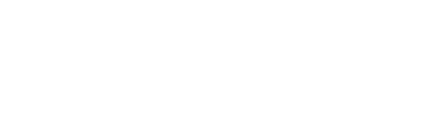 Logo VALID