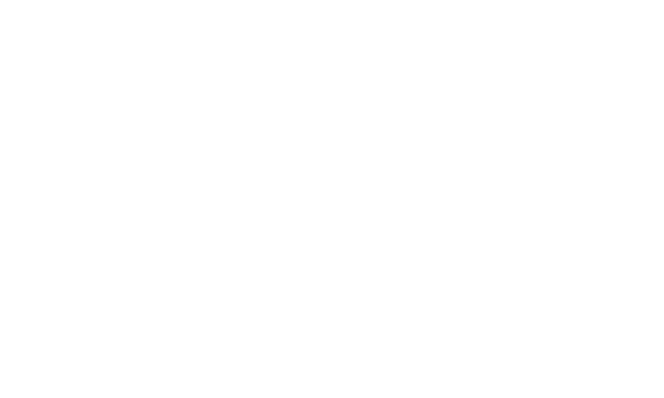Logo New Media