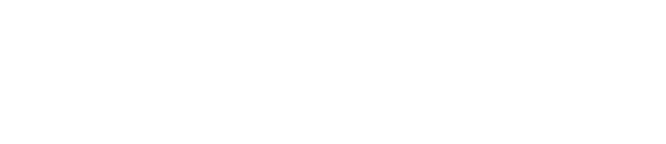 Logo valantic