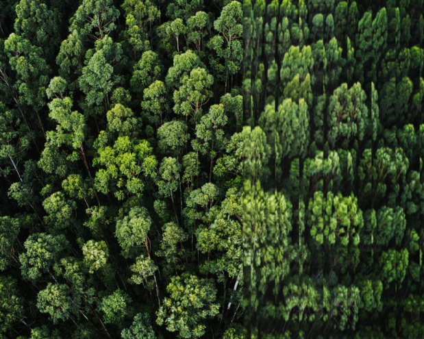 sustainable