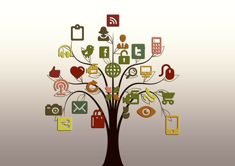 Pourquoi la souscription est la dernière tendance pour les logiciels d'entreprise.