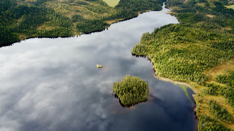 Telemark Fylkeskommune