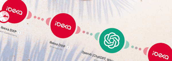 Enhancing Web Accessibility with Automated ALT Tags Using Ibexa Connect and AI