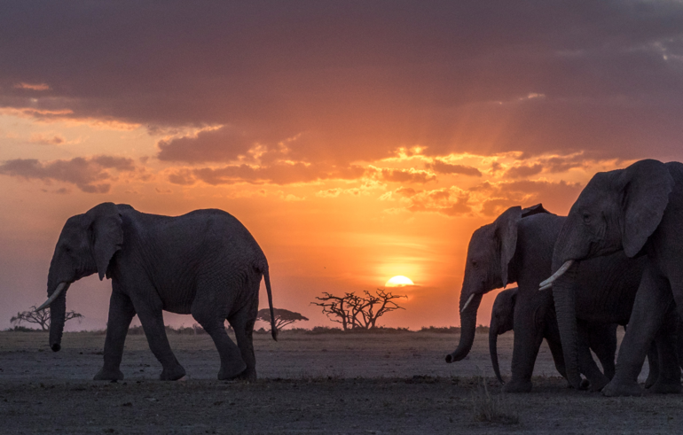Switching databases: Migrating from MariaDB or MySQL to Postgres