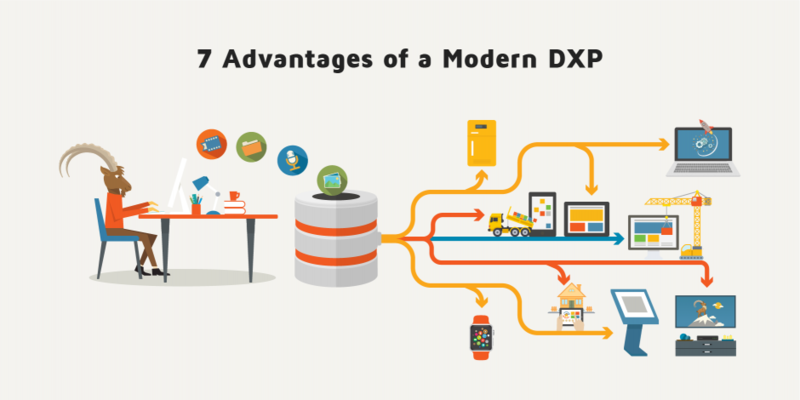 Sept avantages d'une DXP pour vos clients