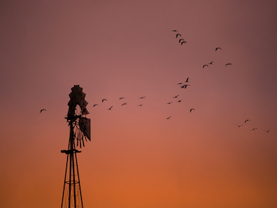 How publishers can benefit from a WordPress to eZ Publish migration