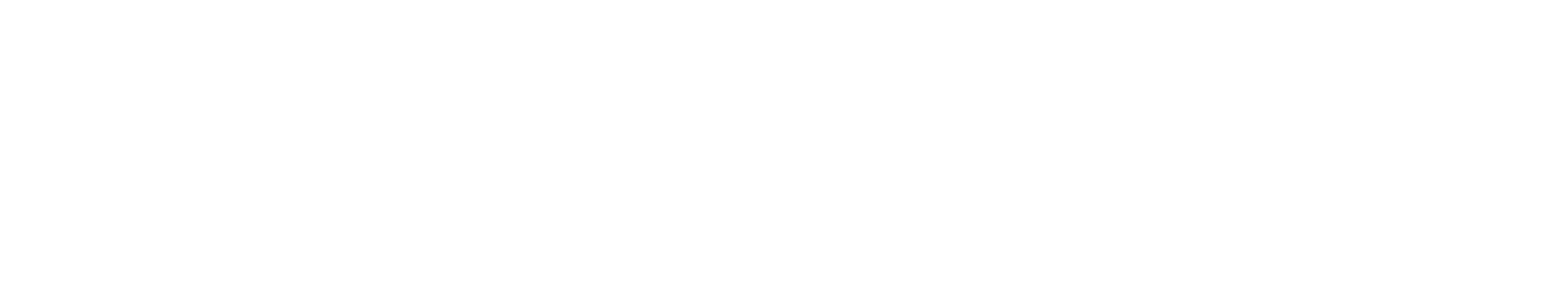 Ommax Logo